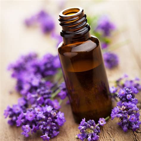 are cheap essential oils safe